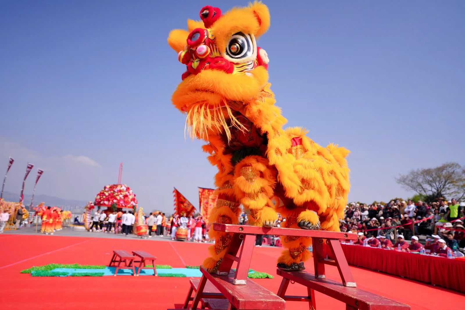 微信图片_20260313094044_3_2.jpg 微信图片_20260313094044_3_2.jpg