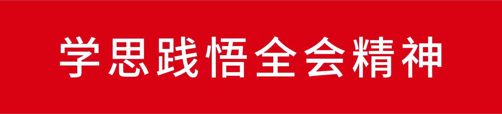 学思践悟全会精神.jpg